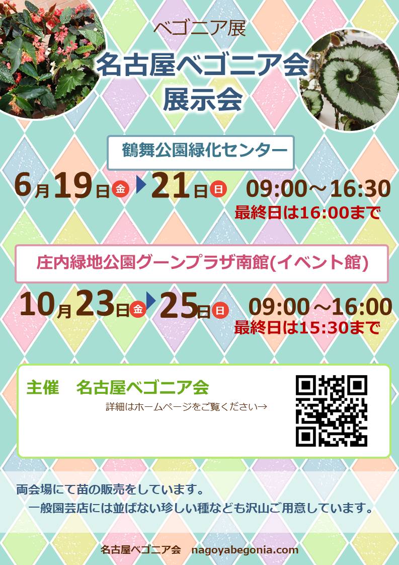 ���É��x�S�j�A��W����2026�|�X�^�[